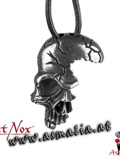 Anhänger-Dirty-Skull-Edelstahl-SK1131-etNox-Asmalia-Gothic-Shop